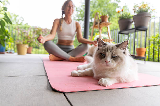 Woman Practicing Yoga Outdoors with Relaxed Cat on Mat