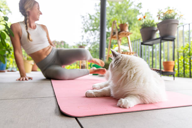 istock Paws and Poses: Yoga Time with Her Cat 2217073699