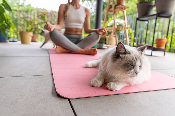 istock Woman Practicing Yoga Outdoors with Relaxed Cat on Mat 2217073720