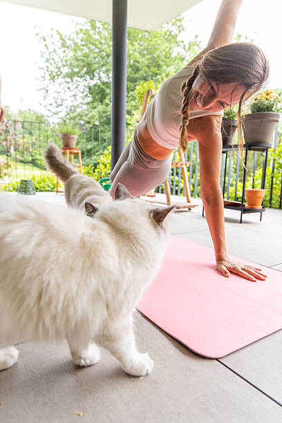 istock Woman Practicing Yoga on Balcony with Cats 2217073729
