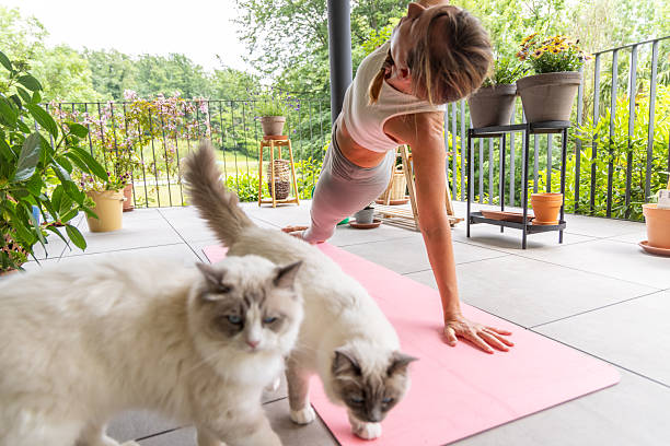 istock Woman Practicing Yoga on Balcony with Cats 2217073735