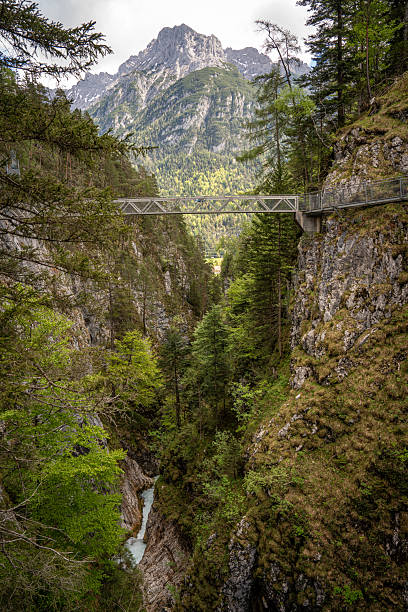 istock Breathtaking View From Leutasch Gorge Hiking Trail: Elevated Pathway With Metal Railings Winding Through Dense Alpine Forest Offering Stunning Vistas Of Rugged Karwendel Peaks In Tyrol, Austria 2217074993