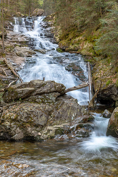 istock Rissloch waterfall, Bavarian Forest 2217075594