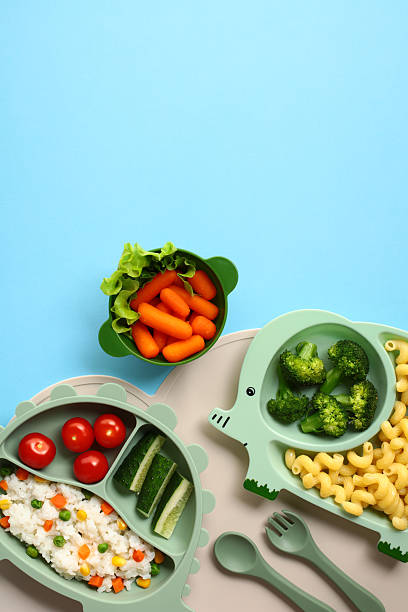 istock Baby weaning plates: divided dinosaur and elephant dishes with carrots, broccoli, tomato. Top view 2217077881