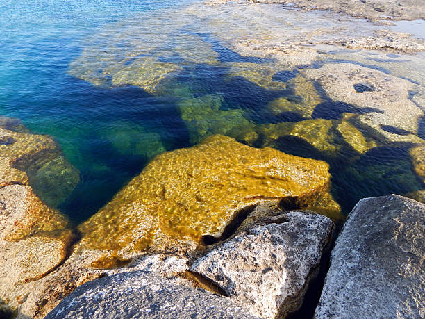 istock Rocky shore of the Caspian Sea. 2217084065