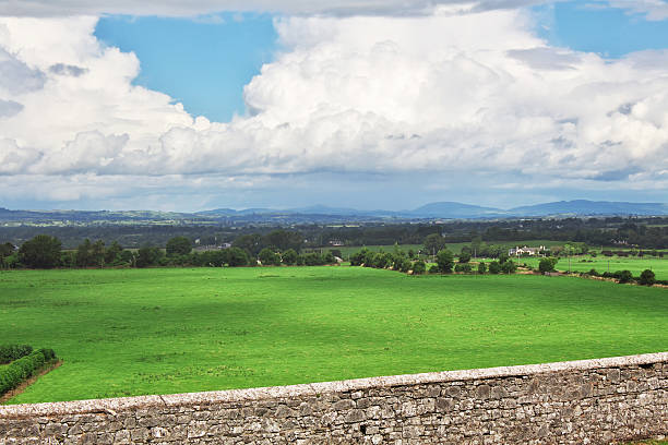 The view on green fields of Ireland