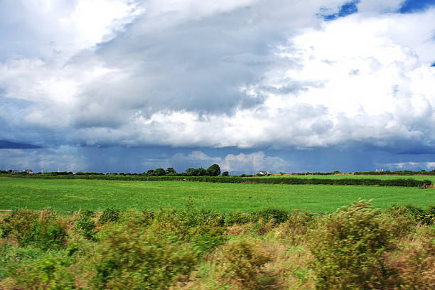 The view on green fields of Ireland