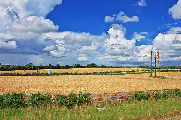 The view on green fields of Ireland