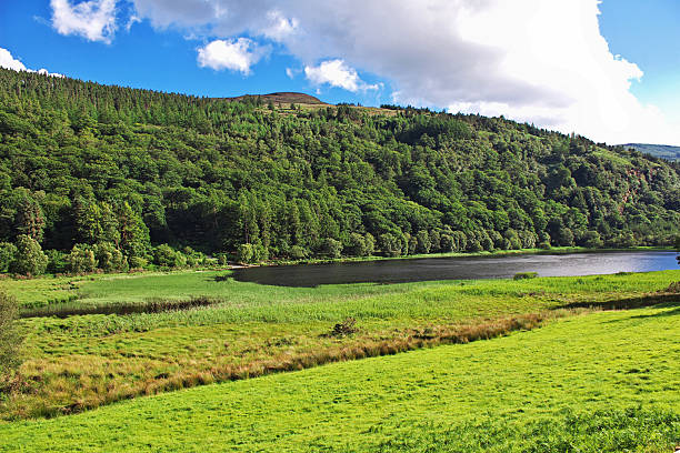 The view on the valley in Glendalough Monastic Settlement, Ireland