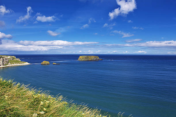 Carrick-a-Rede Rope Bridge, Northern Ireland, UK