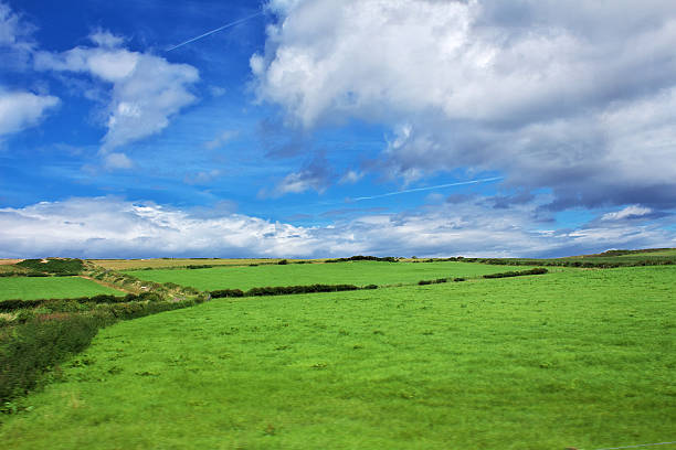 The view on green fields of Ireland