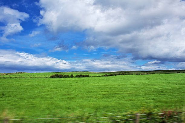 The view on green fields of Ireland