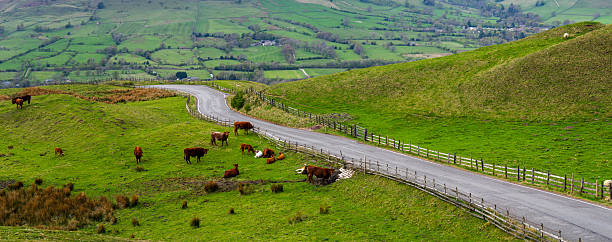 istock Peak District landscape with Farm animals. 2217087464