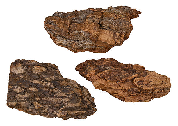 istock Set of tree bark mulch isolated on a white background. Completely in focus. Full depth of field. 2217087802