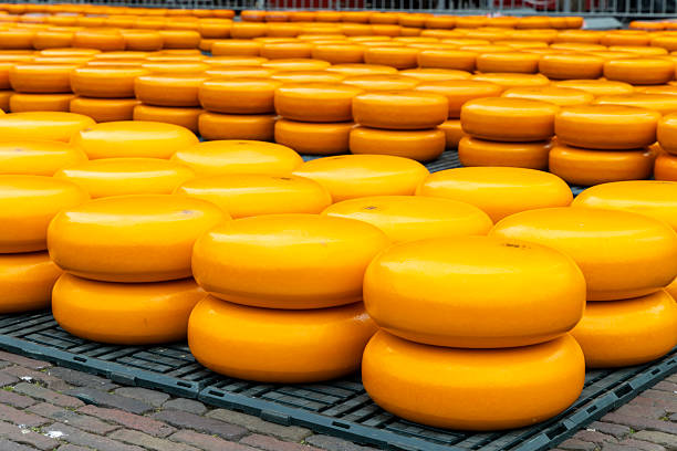 traditional cheese market in Alkmaar, Netherlands