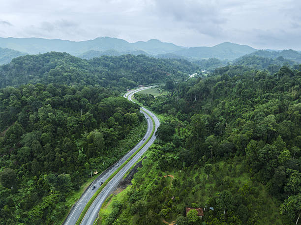 istock Green trees in forest. Green tree nature background for carbon neutrality and net zero emissions concept. Drone view of green tree captures CO2 to Sustainable green environment. 2217093707