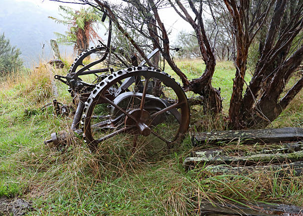 Farm in North Island