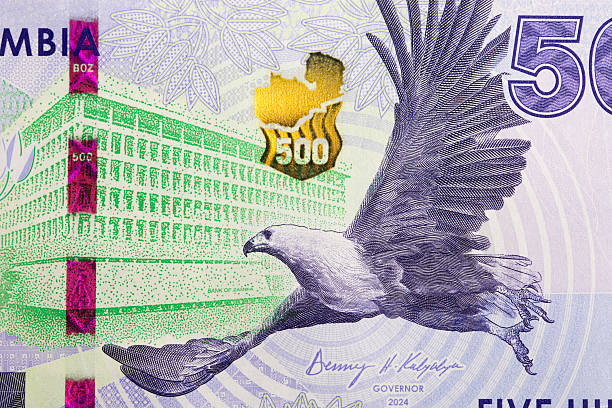 istock Flying African Fish Eagle from Zambian money 2217099129