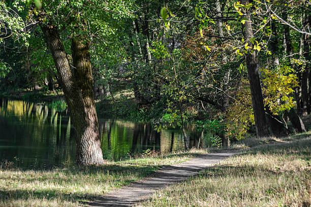 istock Beginning of autumn. 2217100354
