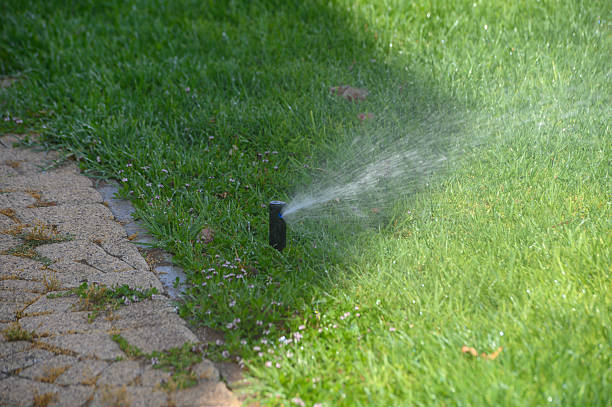 istock Sprinkler Watering Lawn with Bright Green Grass 2217105973