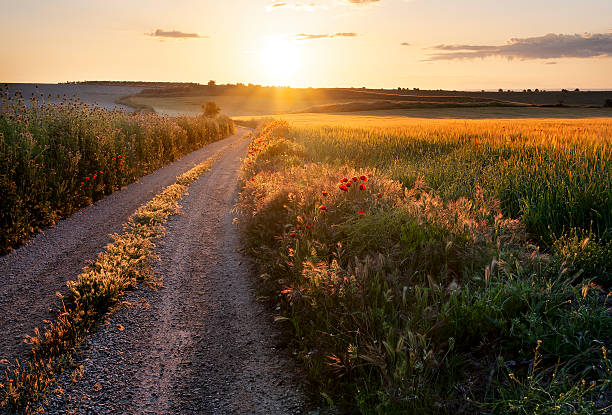 istock Dawn breaks on the road to La Loba 2217106081