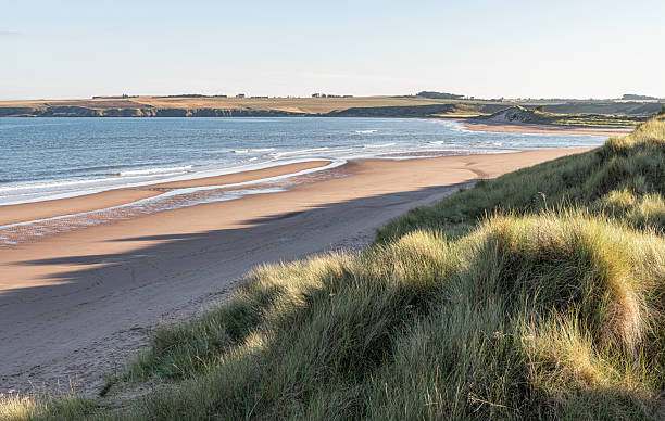 istock Lunan Bay Beach, Angus, Scotland 2217107305
