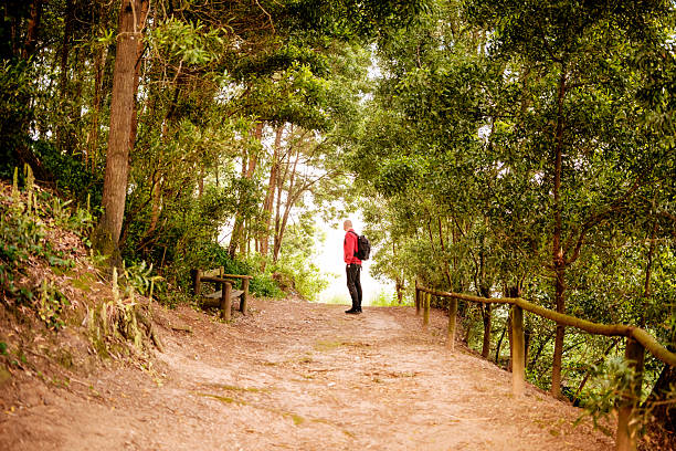 istock Hiker contemplating nature while standing on path in lush forest 2217107418