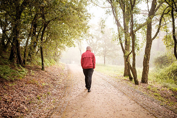 Man is enjoying a peaceful walk in a misty forest, surrounded by nature and experiencing a sense of well-being