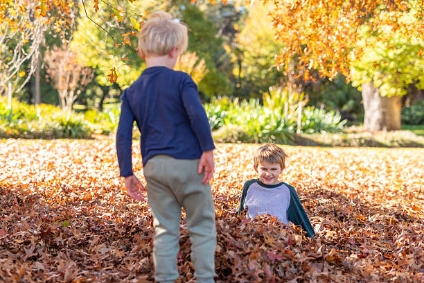 Boys playing in leaves in a park in Melbourne Australia
