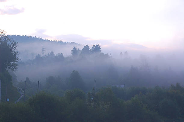 Tranquil forested hills covered in morning mist, creating a peaceful and mysterious natural scene