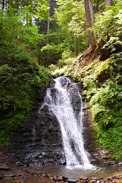 istock Scenic waterfall cascading down rocky cliffs in a lush green forest, creating a peaceful and refreshing natural landscape 2217109662