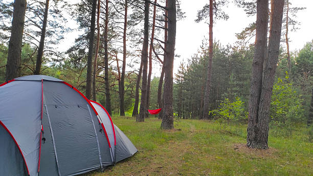 istock A peaceful camping scene with a gray and red tent 2217109679