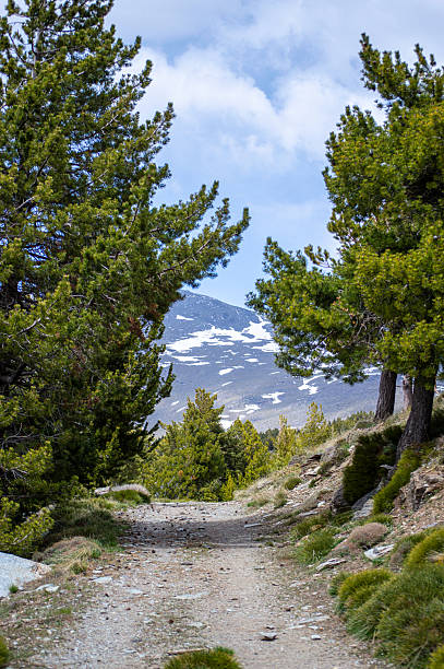 istock Trail to Mulhacen peak in the spring 2217118389