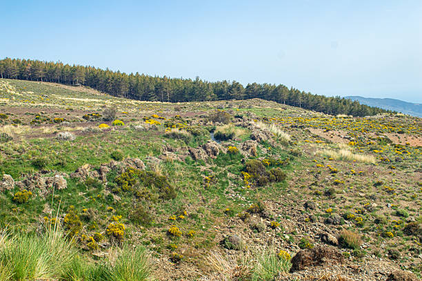 istock Trail to Mulhacen peak in the spring 2217118397