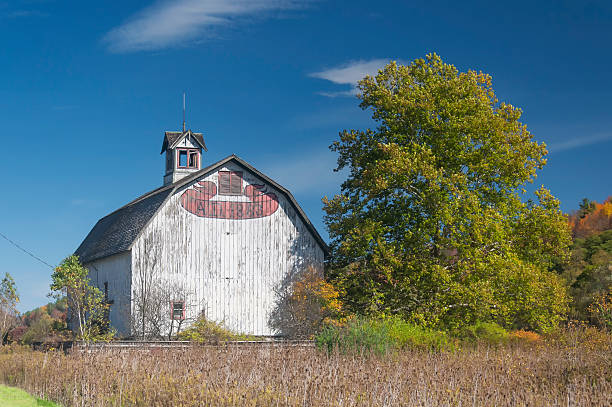 istock old weathered barn in new york state in autumn 2217120128