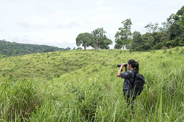 istock Female birdwatching/hiking  in nature concept 2217120439