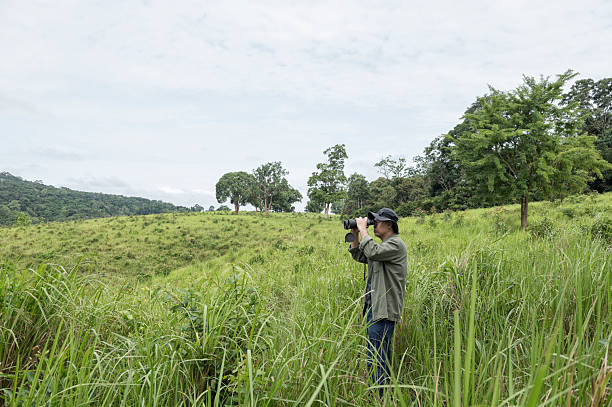 istock A Man birdwatching/hiking  in nature concept 2217120500