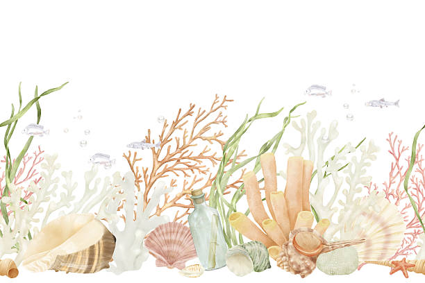 istock Corals and ocean shells, a glass bottle with a note in a thicket of algae, a watercolor illustration. A flock of fish on a seamless pattern, isolated on a white background. The theme of marine design 2217121009