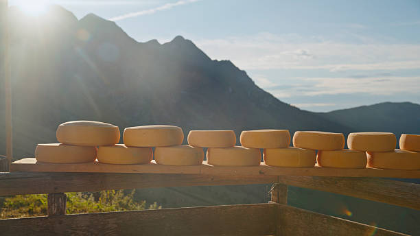 Rounds of Artisanal Cheese are Stacked on a Wooden Rack for the Aging Process,Set against a Picturesque Backdrop of Mountains in the Highlands. Sunlight Creates a Warm Atmosphere and Natural Lens Flare,Highlighting the Traditional Dairy Farming and Cheese Making Methods Used in a Rural,Alpine Environment. Concepts Include Food Production,Agriculture,Nature,Tradition,and the Beauty of the Countryside