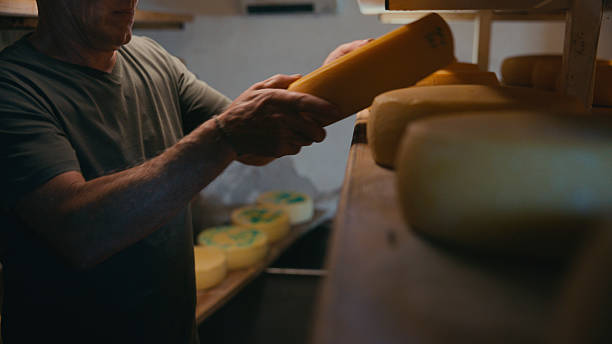 istock Cheese Wheel Inspection in Traditional Dairy Cellar 2217122949