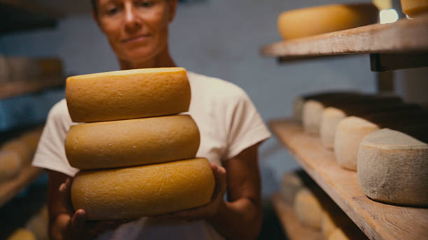 istock Woman Holding Aging Cheese Wheels Stack in Storage Room 2217123098