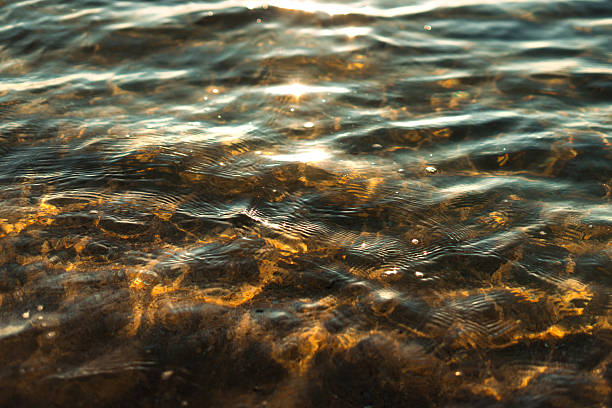 istock sea's surface reflecting sparkling sunlight on a summer day. Golden light penetrates the shallow water 2217125699
