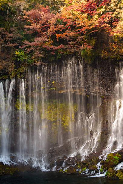 istock Shiraito Falls Cascading Amidst Lush Fujinomiya 2217127100