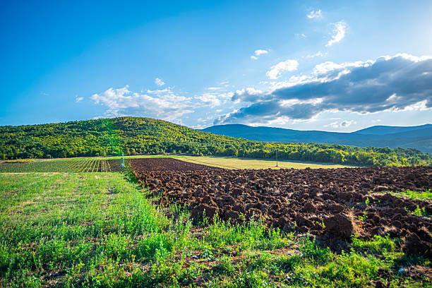A lush green field stretches across the foreground, bordered by dry golden grass and scattered trees, with forested hills rising in the background under a partly cloudy sky.