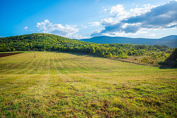 A lush green field stretches across the foreground, bordered by dry golden grass and scattered trees, with forested hills rising in the background under a partly cloudy sky.