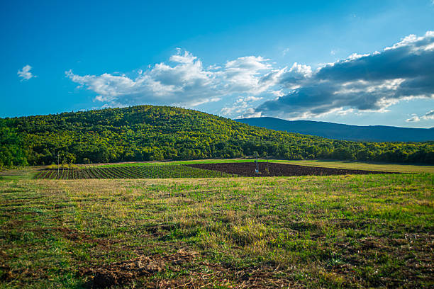 A lush green field stretches across the foreground, bordered by dry golden grass and scattered trees, with forested hills rising in the background under a partly cloudy sky.