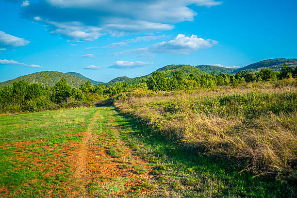 A lush green field stretches across the foreground, bordered by dry golden grass and scattered trees, with forested hills rising in the background under a partly cloudy sky.
