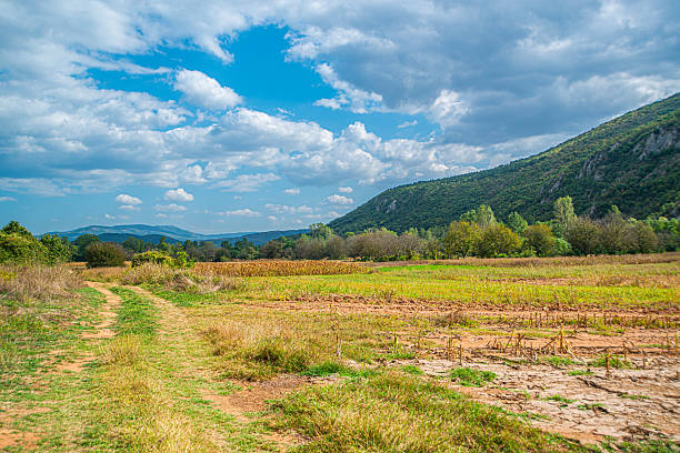 autumn field with yellow grass and mountains in the Dormitory in Montenegro