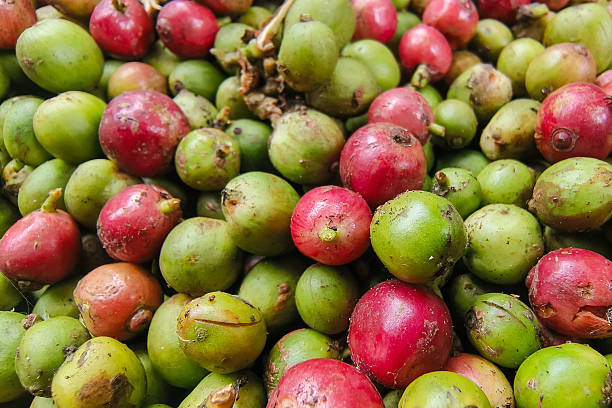 istock Raw Coffee Berries: Close-up of Unprocessed Coffee Cherries in a Pile 2217137286