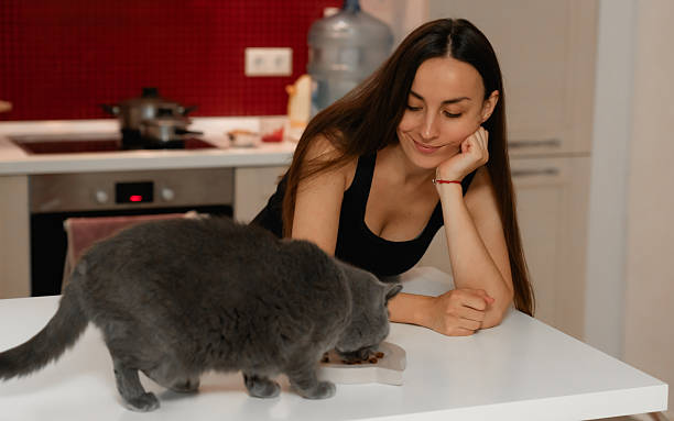 istock A woman is enjoying a moment in the kitchen, smiling while her gray cat eats from a bowl on the counter. The cozy atmosphere captures their connection in a modern kitchen setting. 2217137328